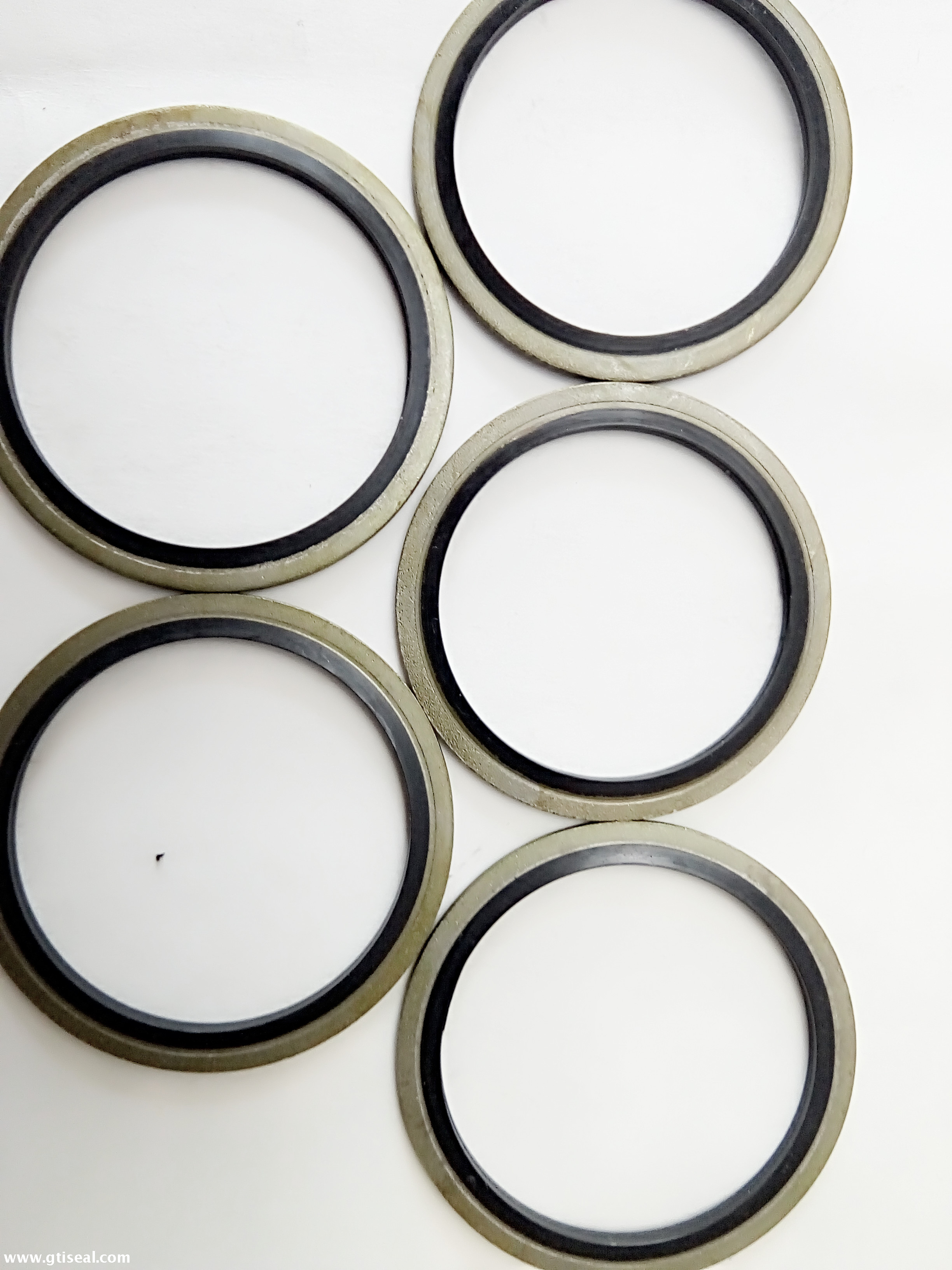 different size Single lip stainless steel oil seal for bearings pumps seal