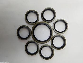  High Quality Self-center Bsp Bonded Seal/bonded Washer/sealing Washer Made in China 